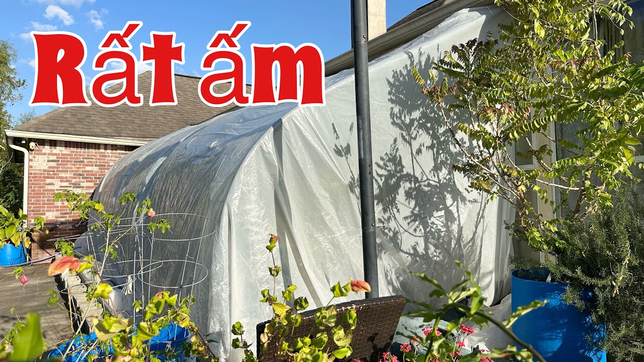 Как сделать теплицу для тропических растений зимой в США. Часть 2 | Зимняя теплица. Часть 2