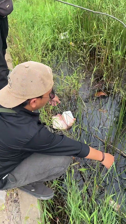 ada waktu kita mancing #remix #dj #djremix #music #jedagjedug #shortvideos #comedy #mancing #fishing