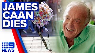 Hollywood icon, James Caan dead at 82 | 9 News Australia