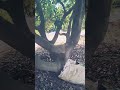 Si lo comes ayuda a reducir el colesterol malo...!!!