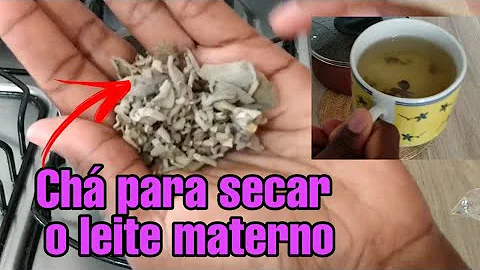 O que pode fazer com que o leite seque?