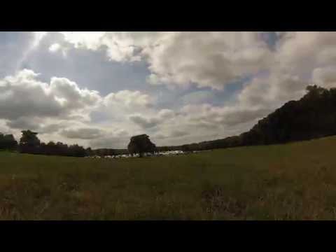 DogFest: A Dog's Eye View (official)
