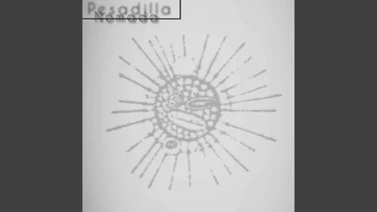 Guarda Tortuga su YouTube Guarda Tortuga su YouTube