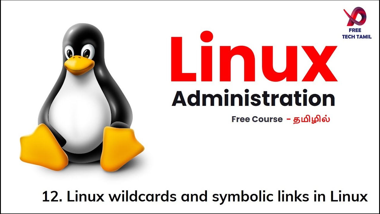 12 linux administration linux wildcards and