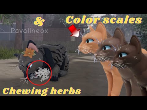 Warrior Cats Ultimate Edition codes