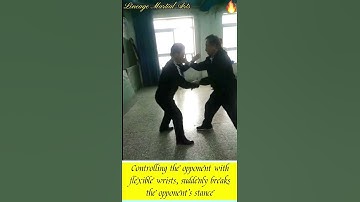 Yiquan Push Hands #shorts #short #martialarts