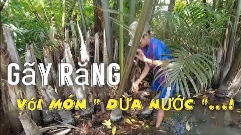 Liệp PIG Đi Tìm Món Ngon "DỪA NƯỚC" & Cái Kết......