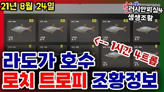 러시안피싱4│210824 라도가 호수 로치 트로피 조황정보 seizegame 씨즈게임 screenshot 2