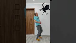 #shorts #giantspider #spider
