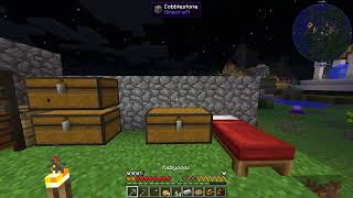 Enigmatica 2 Expert Camera Bug