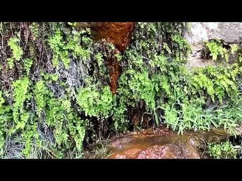 حمامات عفرا في الطفيلة جنوب الأردن تصوير ليث مشاوره