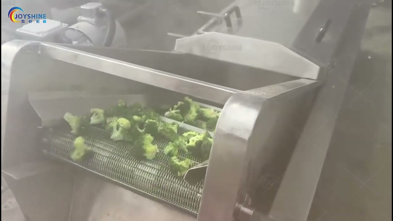 Industrial broccoli blanching machine