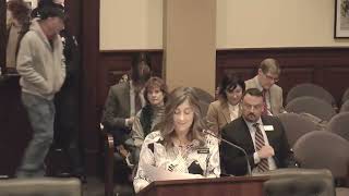January 22nd 2025 House State Affairs Committee 9:00 AM Meeting