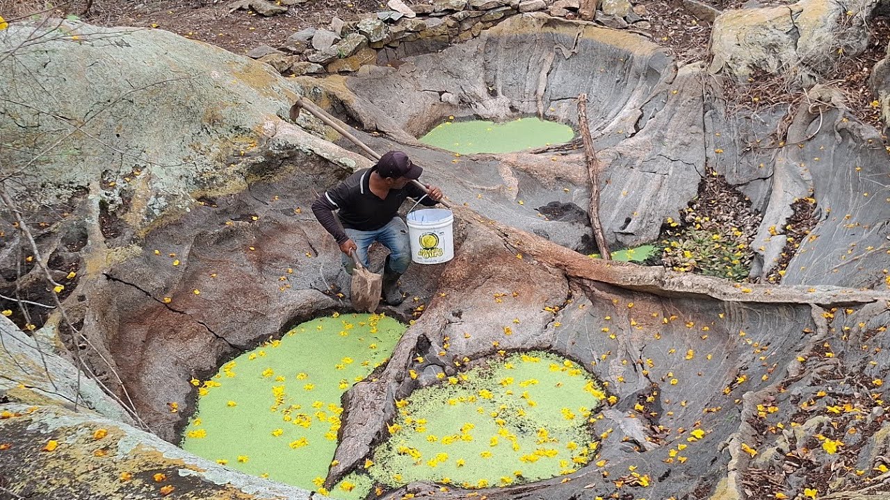 Já tem água da chuva 🌧🙏 nos tanque pra salva a vida dos animais da caatinga 🙏