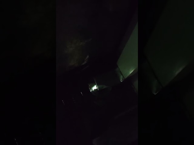 非常ベル、始業ベル（効果音）SchoolBell(SoundEffect)