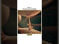 The story of everything
