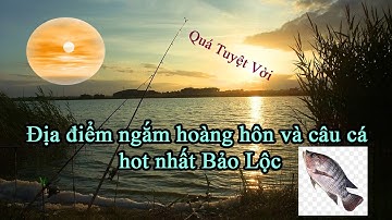 Đập Mai Thành Bảo Lộc - Địa điểm ngắm nhìn hoàng hôn câu cá tự nhiên cực đỉnh