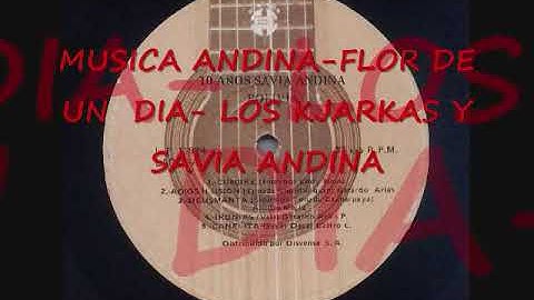 Thumbnail of MUSICA ANDINA flor de un dia