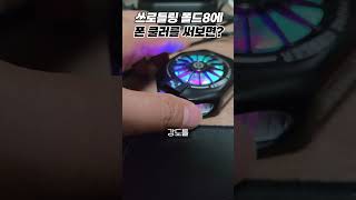 정곰 대표 영상 썸네일