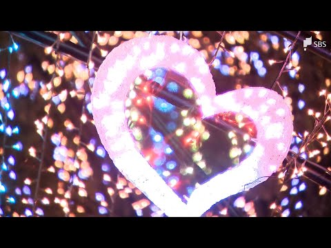 17万4000球の光！静岡市中心街で「青葉シンボルロードイルミネーション」点灯式 幻想的な雰囲気に包まれる=静岡