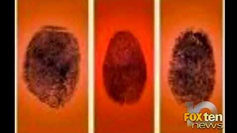 ddc iris recognition