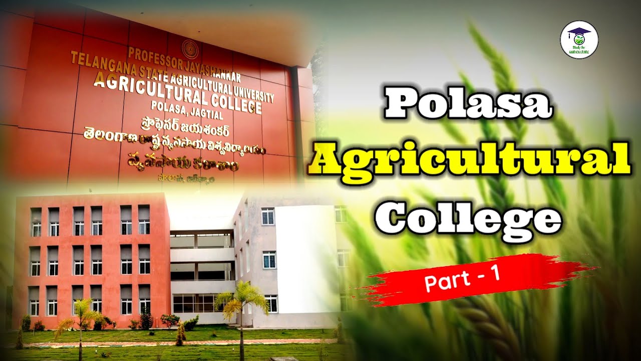 Polasa Agricultural College 🌾[Exterior view]- Part-1| Dist : jagtial