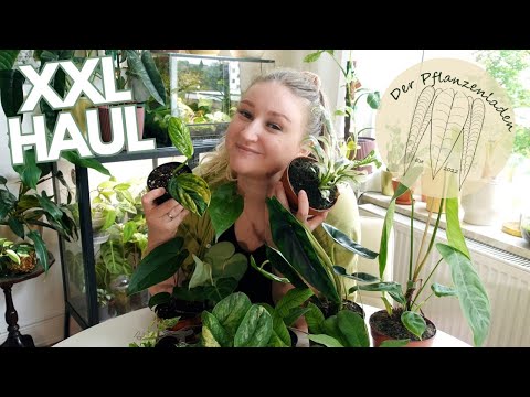 PFLANZEN RARITÄTEN UNBOXING