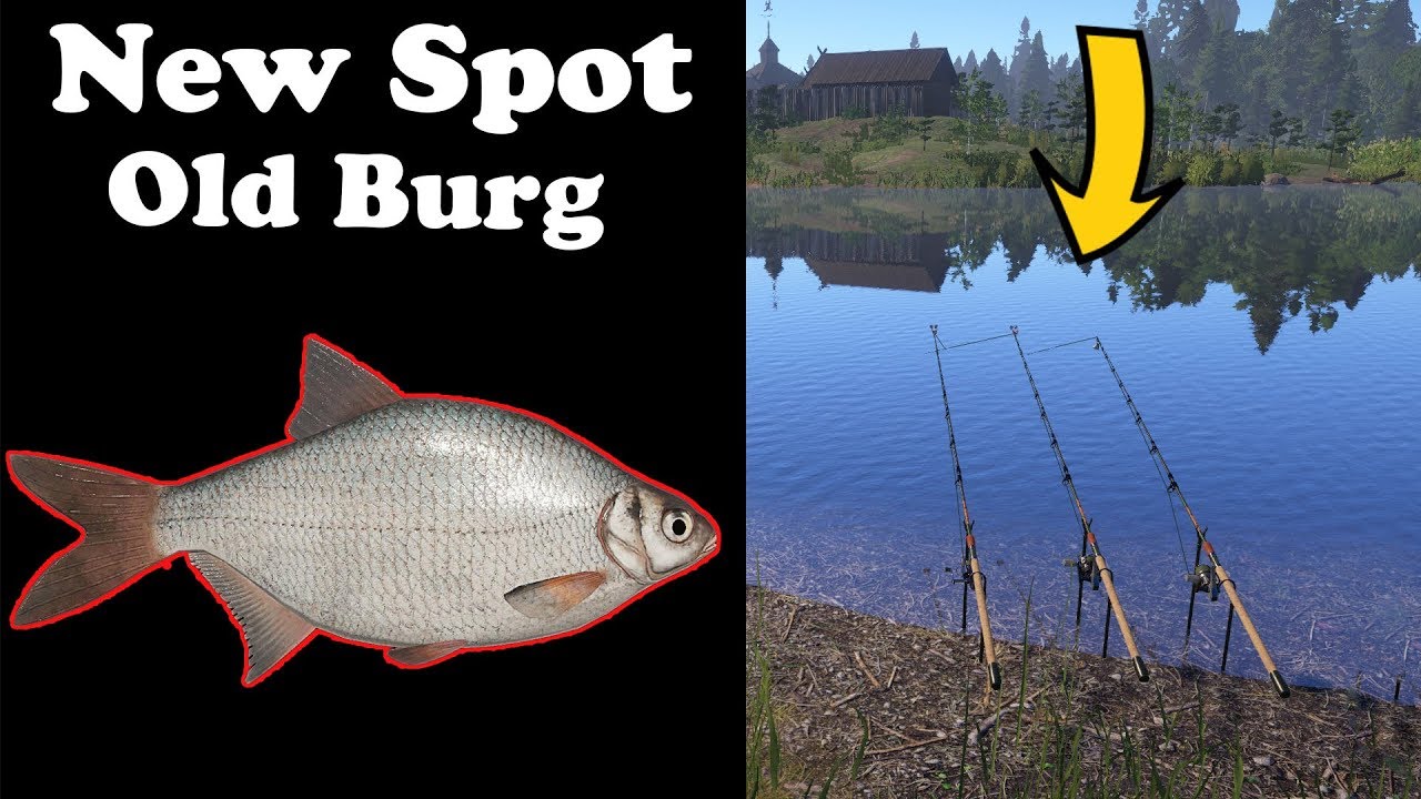 New White Bream Spot on Old Burg Russian Fishing 4 YouTube