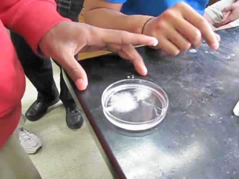Instant Crystallization