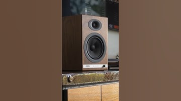 4 Reasons Why Woofers and Tweeters Matter in Speaker Design 🔊
