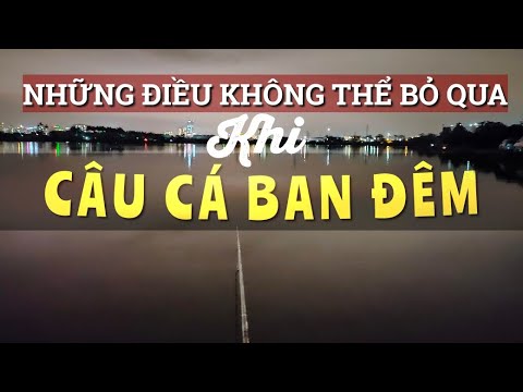 Video: Điều Cần Biết Về Câu Cá Vào Ban Đêm