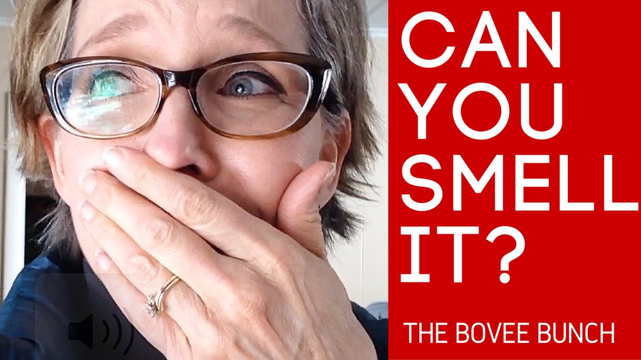 Can You Smell It? YouTube