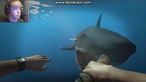 HUGE SHARK BIT ME!- Stranded Deep| Episode 2