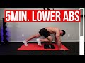 Lower Abs In 5 Mins A Day! (HOME WORKOUT)