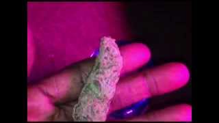 CRITICAL MASS BUD SHOT & REVIEW