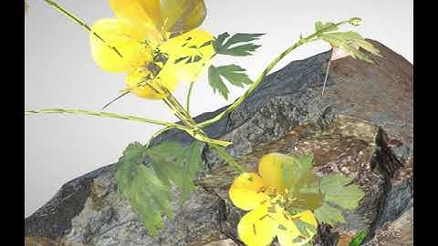 Three.js alpha collision