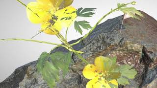 Three.js alpha collision