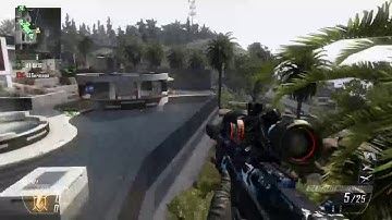 Call of duty BO2: Raid Suicide (Trickshot) [Custom Game CTF]