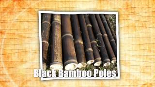 Purchase Bamboo Poles - Bamboo Poles For Sale