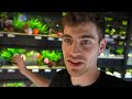 GERMANY EXOTIC FISH STORE TOUR!