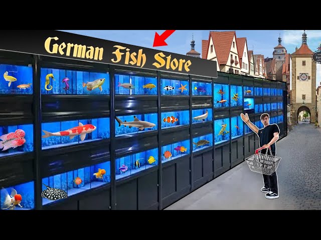 FISH STORE TOUR 