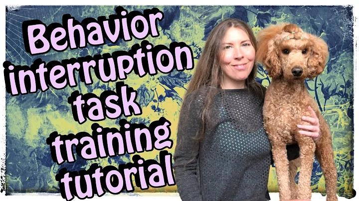 Service Dog Tasks, How to Train Behavior Interruption | #servicedog