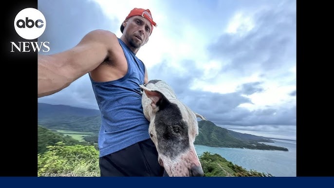 Hiker Rescues Dog From Hawaii Mountain