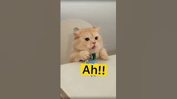 Windows Shortcut Keys  ! #youtubeshorts #windows #shorts #shortcuts #ytshortsindia #shortsbeta