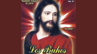 Video thumbnail of "Los Búhos - Sagrado Corazón De Jesús"