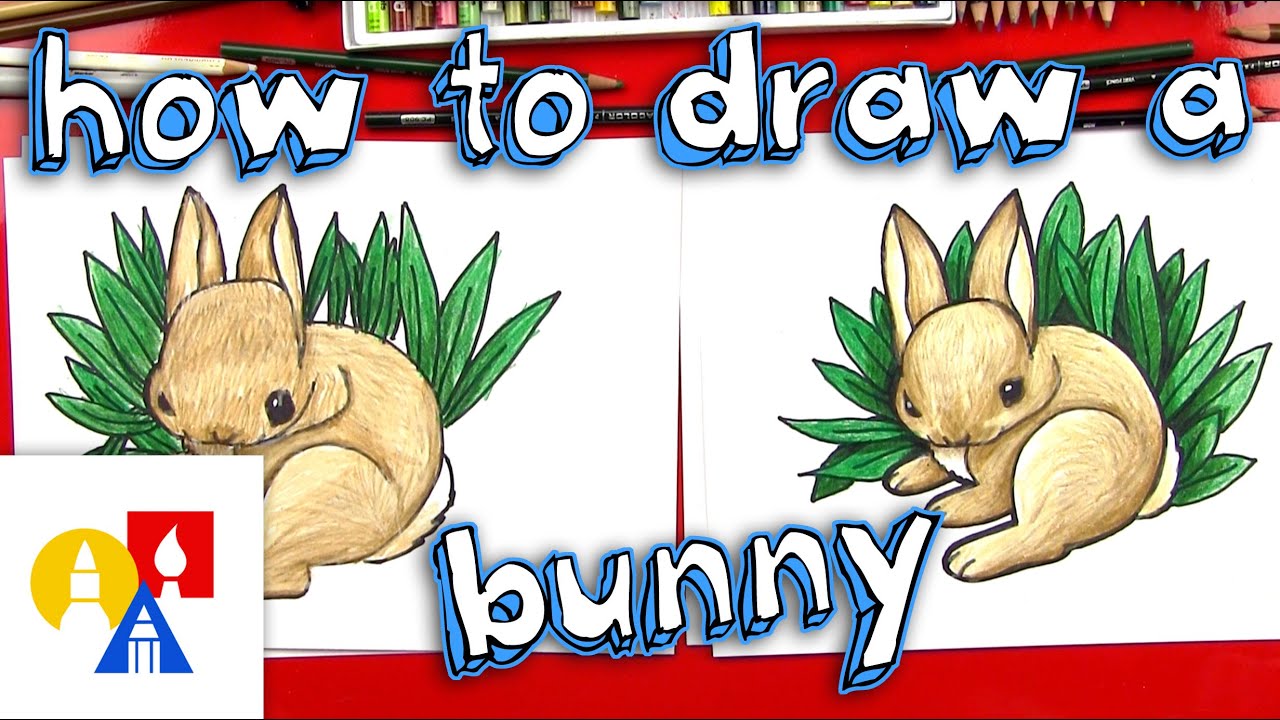 How To Draw A Realistic Bunny - YouTube