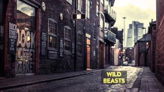 Wild Beasts - Through Dark Night