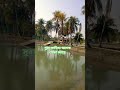 সাপোর্ট করবেন প্লিজ  #trendingshorts #viralvideo #edms #viralshort #সব #comment #music #lovesong