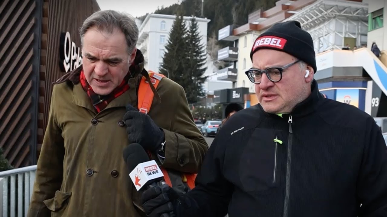 ‘It’s thriving’: University of Austin co-founder praises institution’s intellectual freedom ‘It’s thriving’: University of Austin co-founder praises institution’s intellectual freedom