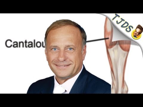 Steve King Is An Expert On Mexican Anatomy (TJDS)